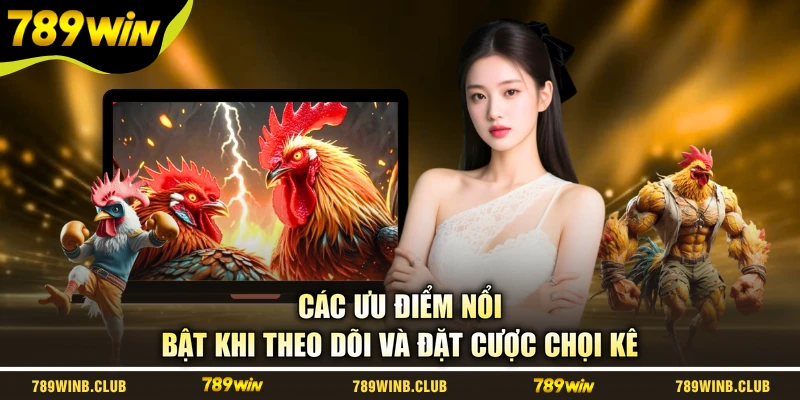 Các ưu điểm nổi bật khi theo dõi và đặt cược chọi kê