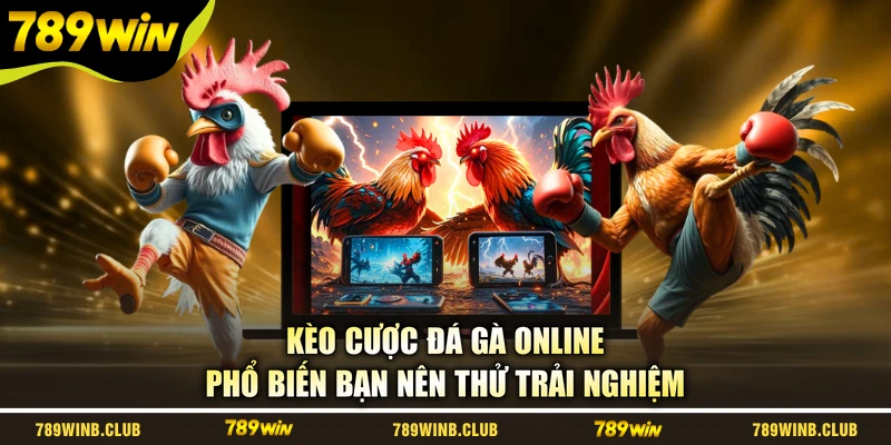Kèo cược đá gà online phổ biến bạn nên thử trải nghiệm