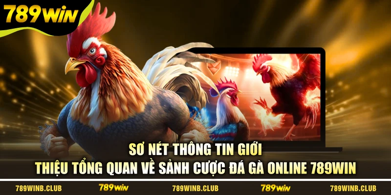 Sơ nét thông tin giới thiệu tổng quan về sảnh cược đá gà online 789WIN